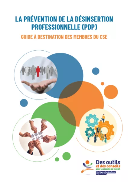 Guide CSE PDP